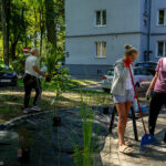 Nasadzenia wrzesień 2024_12